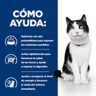 Hill's Prescription Diet Digestive Care Frango lata para gatos, , large image number null